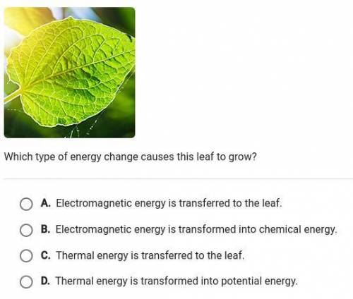 Pls help its easy 6th grade science one question
