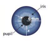Your iris controls the amount of light that enters your eye by changing the size of your pupil.