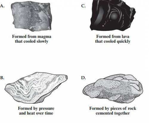 Use the image above to answer the question: Roger collected four rock samples and wrote a descripti