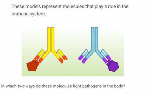 In which two ways do these molecules fight pathogens in the body?
please don't guess!