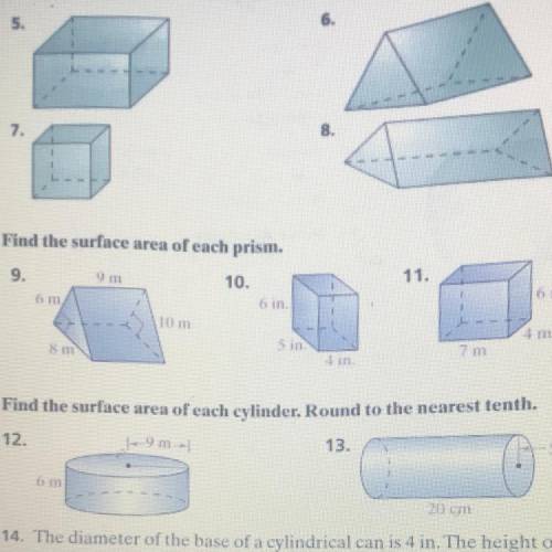 Find the surface area of each prism.