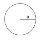 Given that the measurement is in centimeters,find the area of the circle to the nearest tenth.(Use