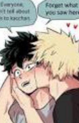 (Weebs only!!!)

ok who else thinks bakugo×deku is a cute shipit's to flipping adorable!