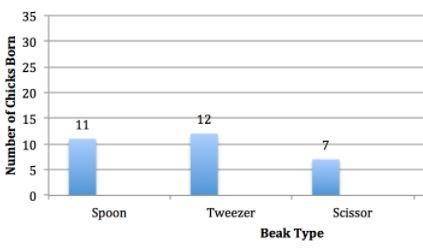 Using the graph below, what percent of chicks were born with scissor beaks? *