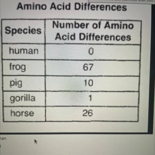 8. The table below shows the number of amino acid differences seen in several species compared to h
