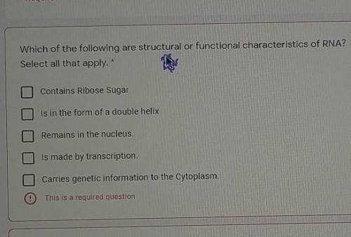 Which of the following are structural or functional characteristics of RNA?

Select all that apply