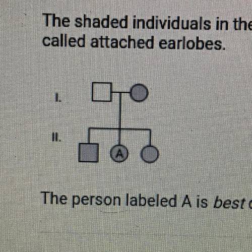 30 POINTS

 
The shaded individuals in the pedigree diagram below have a recessive trait
called att