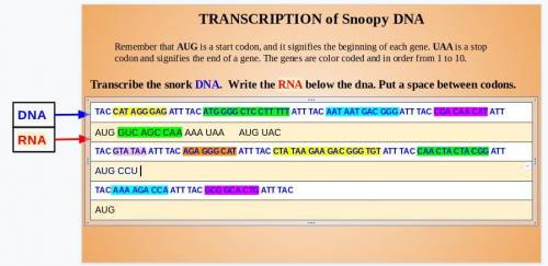 Transcribe the snork DNA. Write the RNA below the dna. Put a space between codons.