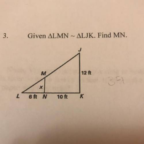 Please help, math, triangles.