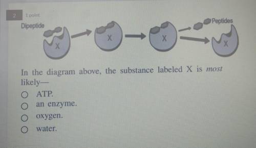 In the diagram above the substance labeled x is most likey