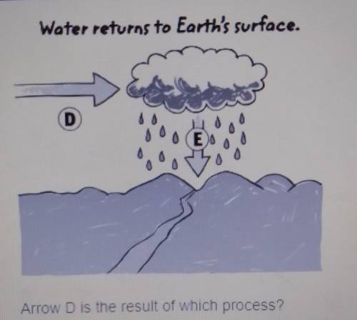 Arrow D is the result of which process?

A.water vapor in the air cools and condenses B.water vapo