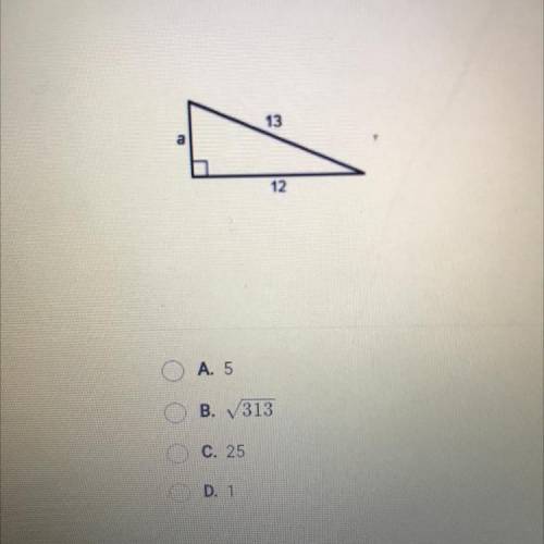 PLEASE HELP Find the length of side a