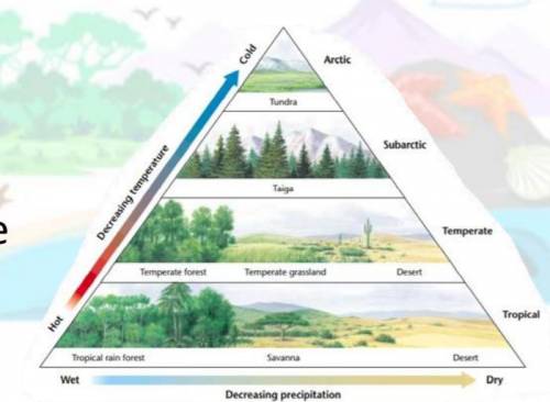 6. Looking at this pyramid from the slide deck, as moisture decreases, what happens to the amount o
