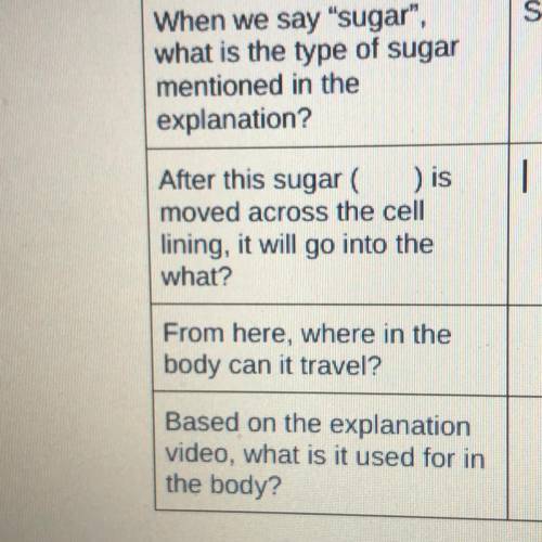 After this sugar
) is
moved across the cell
lining, it will go into the
what?