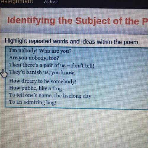 What is the subject of the poem?

O being a nobody
O being part of a pair
O being important
O bein