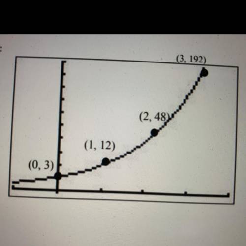 What is the exponential function of the graph
