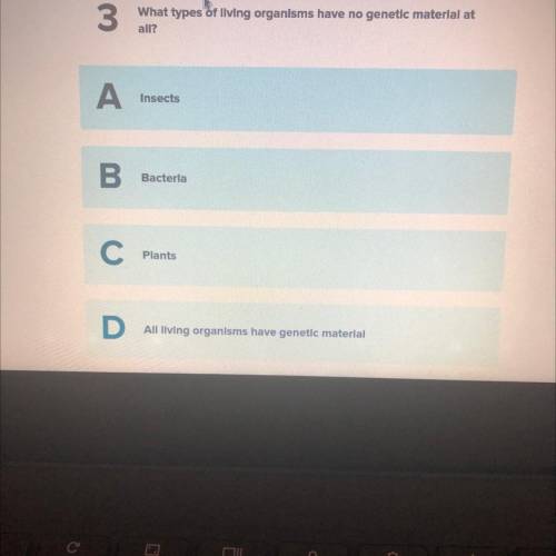 What is the answer
Help me please