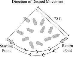 PLEASE HELP

The figure below shows the ideal pattern of movement