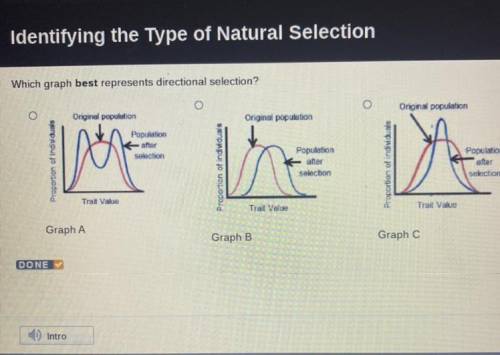 Which graph best represents directional selection?
-Graph A
-Graph B
-Graph C