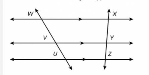 Which conclusion does the diagram support?

A.UVVW=ZYYX
B.VYWX=UZVY
C.UZ=12WX
D.VY=12WX