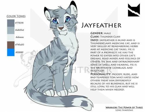 Who is jayfeather from warriors book series!