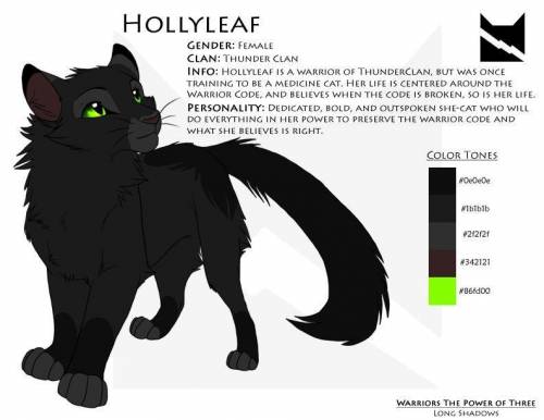 Who is holly
leaf in warrior the book series