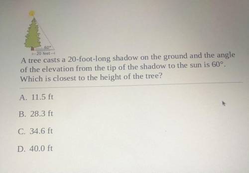 Can someone like solve this?
help pls 
(dont guess pls)