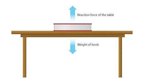 Is the picture below a balanced or unbalanced force?