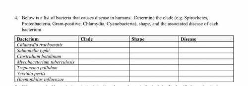 Below is a list of bacteria that causes disease in humans. Determine the clade (e.g. Spirochetes, P