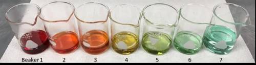 [50 Points] In the experiment below, Beaker 1 contains 12.0 M HCl. Each subsequent beaker is dilute