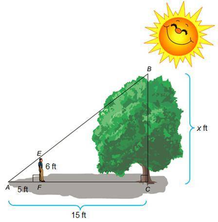 The diagram shows a 6 ft student standing near a tree. The shadow of the student and the shadow of