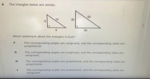 The triangles below are similar. 
Which statement about the triangles is true?