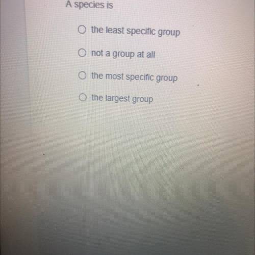 A species is

O the least specific group
O not a group at all
o the most specific group
the larges