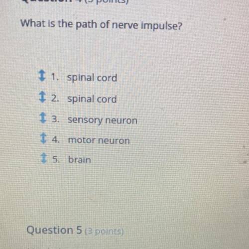 What is the path of nerve impulse?

1. spinal cord
1 2. spinal cord
13. sensory neuron
t 4. motor