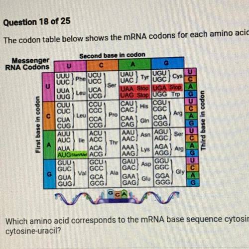 20 POINTS!!

Which amino acid corresponds to the mRNA base sequence cytosine-
cytosine-uracil?
A.