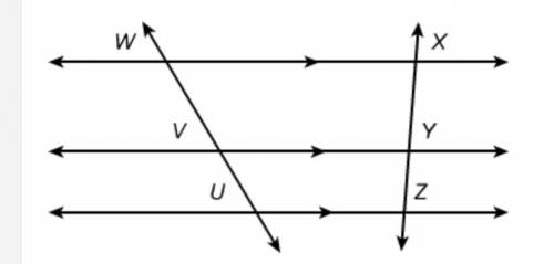 Which conclusion does the diagram support?

A.UV/VW=ZY/YX
B.VY/WX=UZ/ VY
C.UZ=1/2 WX
D.VY=1/2