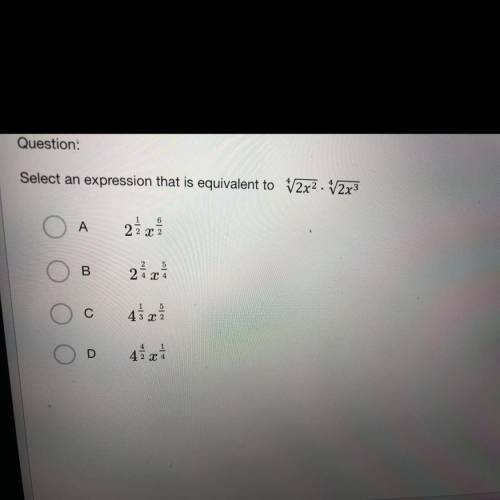 Please help! Very stuck! Will give if answer is correct!