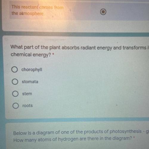 What part of the plant absorbs radiant energy and transforms it into

chemical energy?*
chorophyll