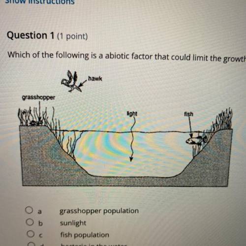 Question 1 (1 point)

Which of the following is a abiotic factor that could limit the growth of th