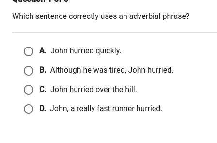 Which sentence correctly uses an adverbial phrase