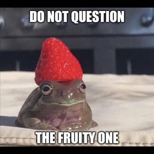 Do not question the almighty fruity one