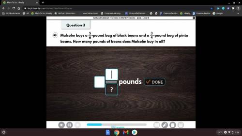 Malcolm buys a 5/6 pound bag of black beans and a 3/4 pound bag of pinto beans how many pounds of b