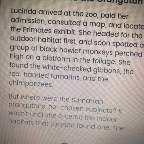 At the end of the story how might Lucinda have expected the orangutan to react when she revealed he