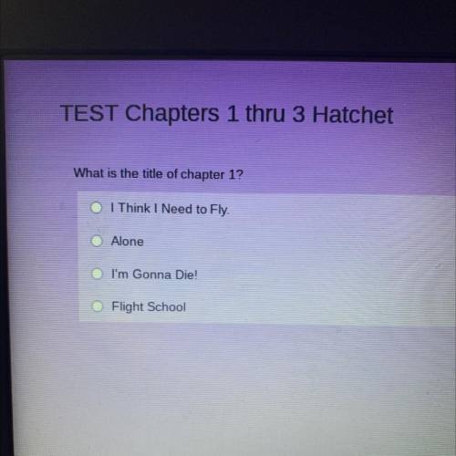 What is the title of chapter 1 of the hatchet