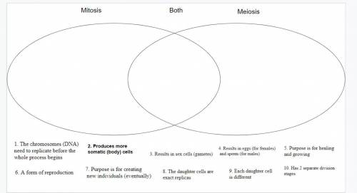 Which goes where ? Mitosis Vs. Meiosis