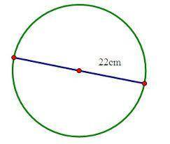 What is the circumference of this circle using the formula π•d (pi times the diameter)?

Use 3.14