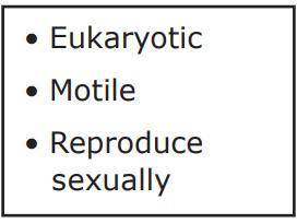 This list of characteristics describes organisms in the ________.

Question options:
protists and
