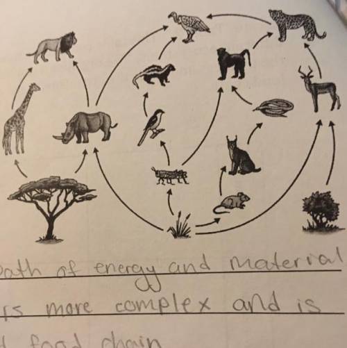 If grasshoppers were removed from this food web which organism Would suffer the most birds or Baboo