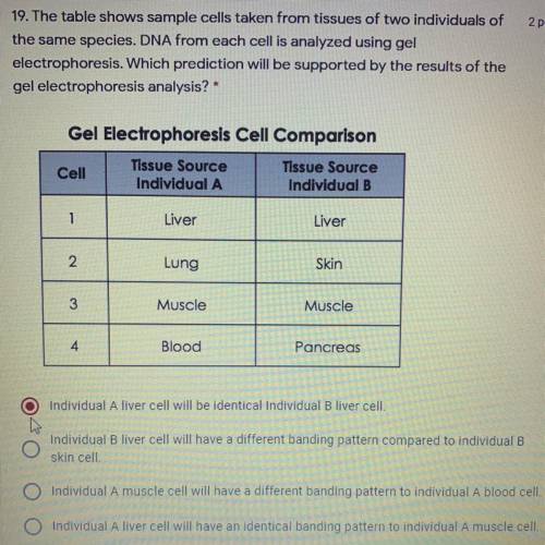 PLEASE ANSWER ASAPPPP.

19. The table shows sample cells taken from tissues of two individuals of