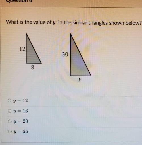 What is the value of y in the similar triangles below Brain for best anwser ​